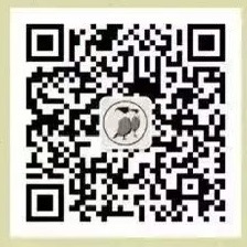 微信公众号 hello灰雀